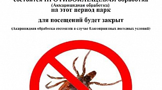 Акарицидная обработка территории Городского Парка